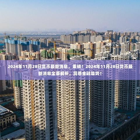 2024年11月28日货币最新动态解析,洞悉金融趋势的重大消息