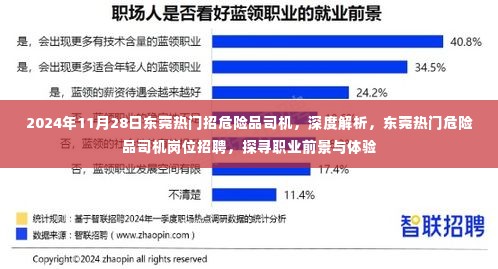 2024年东莞危险品司机招聘热潮,职业前景与体验深度解析