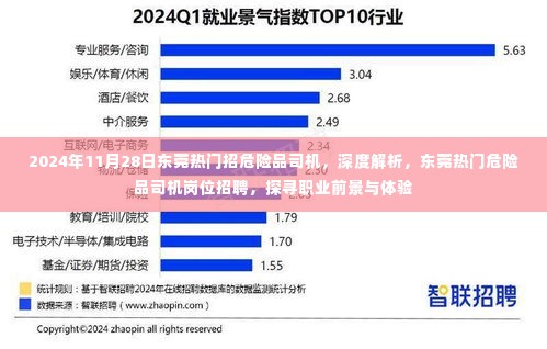2024年东莞危险品司机招聘热潮,职业前景与体验深度解析
