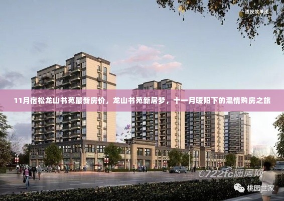 11月宿松龙山书苑最新房价,温情购房之旅,龙山书苑新居梦