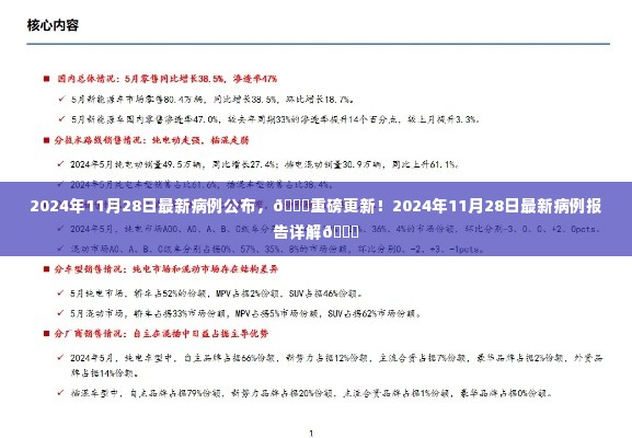 🌟重磅更新!最新病例报告详解,2024年病例公布与报告分析🌟