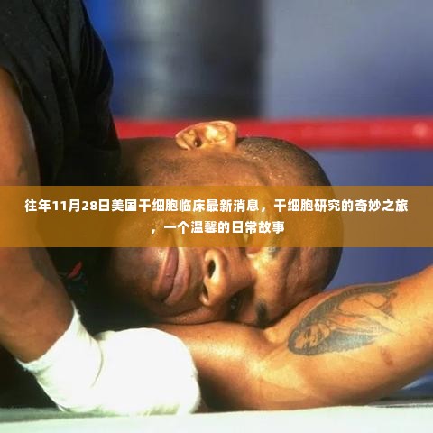 美国干细胞研究最新进展，日常中的奇迹与温馨故事