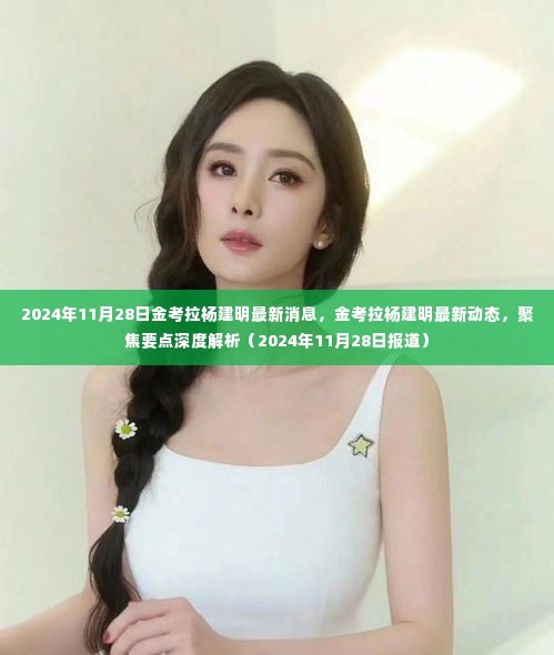 金考拉杨建明最新动态深度解析,聚焦最新消息与要点(2024年11月28日)