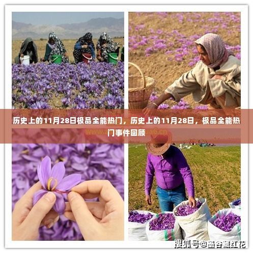 历史上的11月28日,极品全能热门事件回顾与回顾
