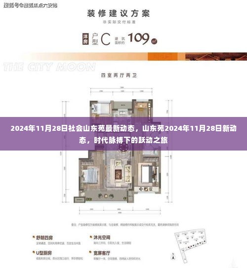 山东苑最新动态,时代脉搏下的跃动之旅(2024年11月28日)
