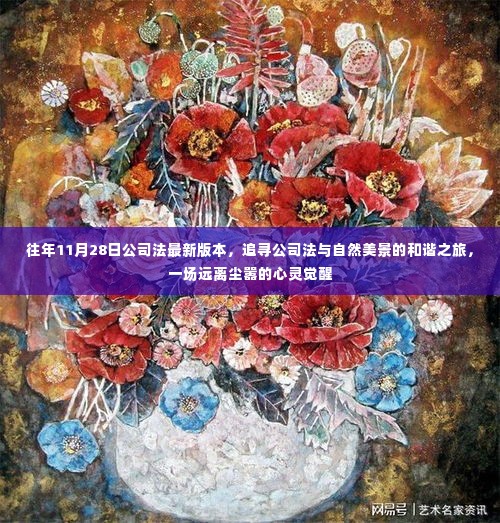 追寻公司法与自然美景的和谐之旅,心灵觉醒在11月28日公司法最新版本中绽放