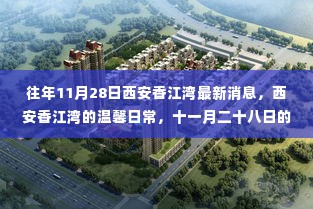 西安香江湾的温馨日常与奇遇,最新消息揭秘十一月二十八日的惊喜