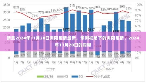 2024年11月28日浏阳疫情预测洞察,基于当前趋势的洞察分析