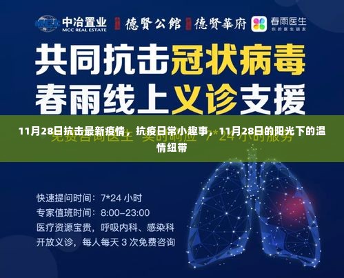 11月28日阳光下的抗疫温情纽带，日常小趣事与疫情抗击实录