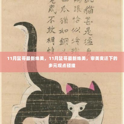 审美变迁下的多元观点碰撞,11月鼠哥最新绝美风采
