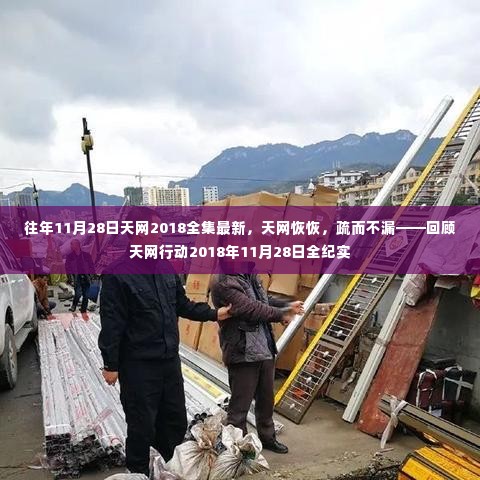 天网行动2018年11月28日全纪实,行动成果回顾与深度解析