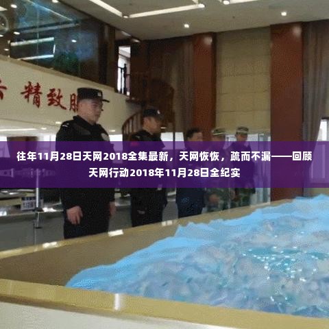 天网行动2018年11月28日全纪实,行动成果回顾与深度解析