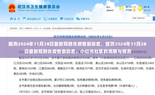 小红书社区预测,2024年11月28日新冠肺炎疫情最新动态猜测