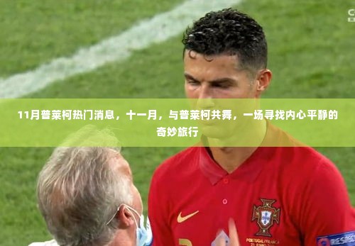 普莱柯的奇妙之旅,寻找内心平静的十一月共舞