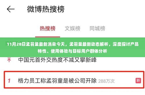 孟羽童最新动态，深度解析产品特性、用户体验与目标用户群体分析