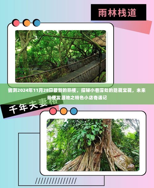 未来热梗探秘,特色小巷宝藏与2024年最新热梗奇遇记