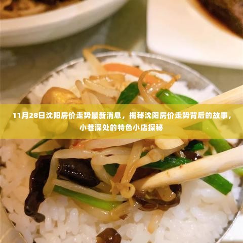 沈阳房价走势揭秘,最新动态与小巷深处的特色小店探秘