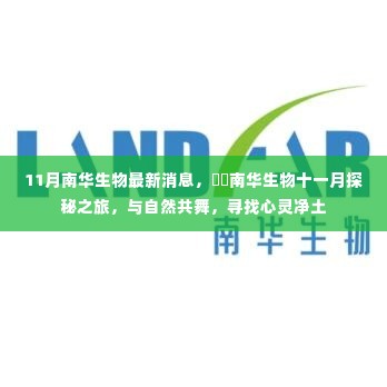 南华生物十一月最新消息,与自然共舞,探寻心灵净土的探秘之旅