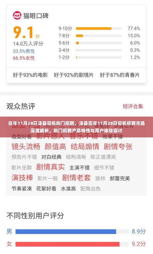 沛县历年11月28日司机招聘市场深度解析,热门招聘特性与用户体验探讨