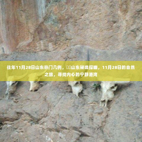 山东秘境探幽,寻找内心的宁静港湾——山东自然之旅的往年11月28日记录