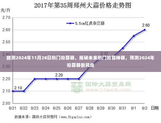 揭秘未来拍蒜新风尚,预测热门拍蒜神器,引领潮流趋势至2024年!
