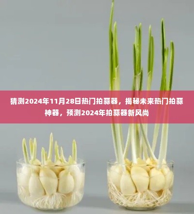 揭秘未来拍蒜新风尚,预测热门拍蒜神器,引领潮流趋势至2024年!