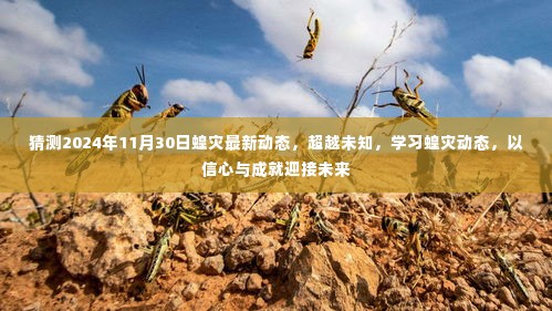 揭秘未来蝗灾动态,预测2024年趋势,以信心与成就迎接挑战