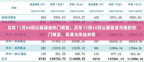 揭秘历年11月30日公募基金市场的热门爆发,机遇与挑战并存的日子