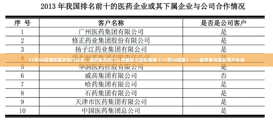 博济医药最新公告解析与操作指南,初学者与进阶用户必读(11月30日版)