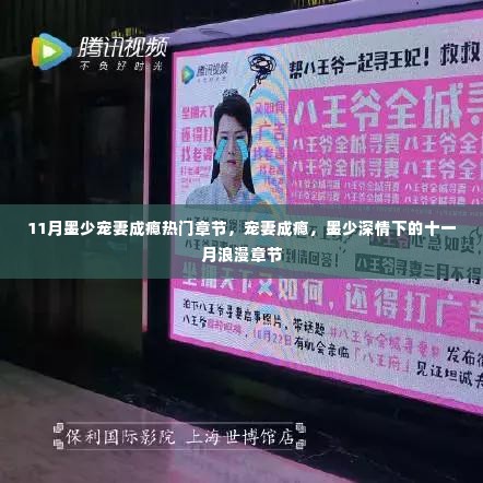 墨少深情宠妻成瘾,十一月浪漫章节的甜蜜宠溺