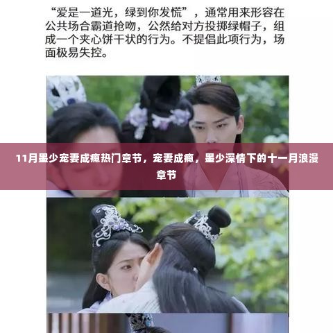 墨少深情宠妻成瘾,十一月浪漫章节的甜蜜宠溺