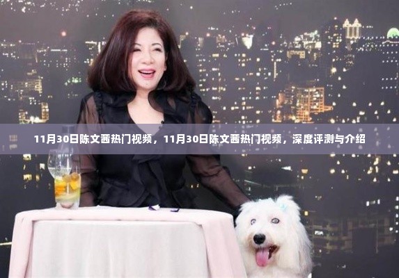 11月30日陈文茜热门视频深度评测与介绍