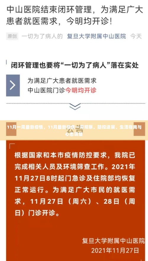 11月最新疫情观察,防控进展、生活指南与心态调整