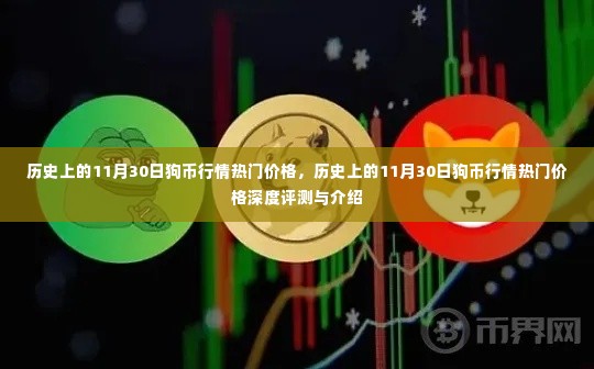历史上的狗币行情深度评测与介绍,聚焦11月30日的热门价格走势分析