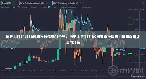 历史上的狗币行情深度评测与介绍,聚焦11月30日的热门价格走势分析