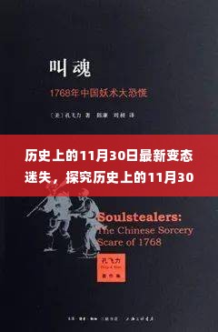 历史上的11月30日,深度解析最新变态迷失现象与个人观点