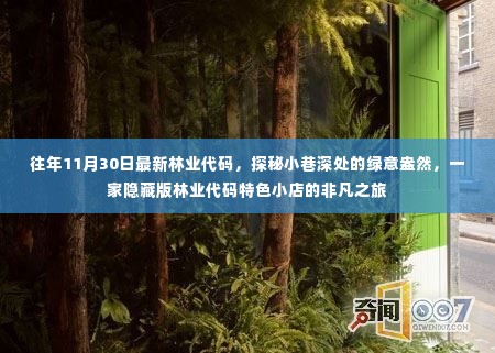 探秘绿意盎然的小巷深处,林业代码特色小店的非凡之旅