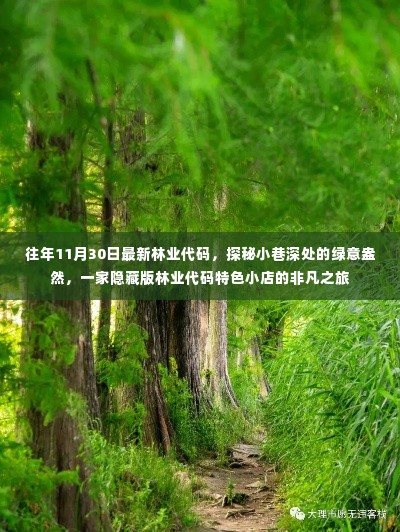 探秘绿意盎然的小巷深处,林业代码特色小店的非凡之旅
