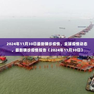 全球疫情动态更新,最新确诊疫情报告(2024年11月30日)