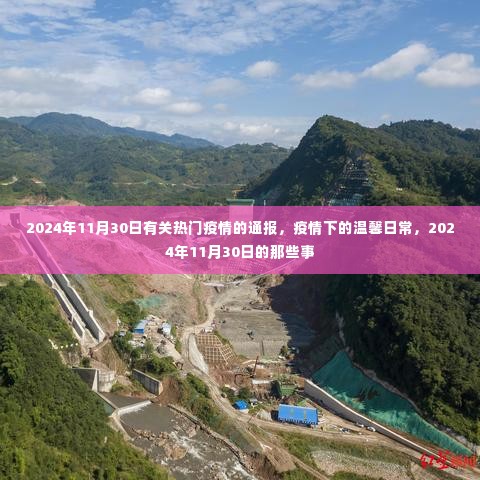 疫情下的温馨日常,2024年11月30日的疫情通报与故事