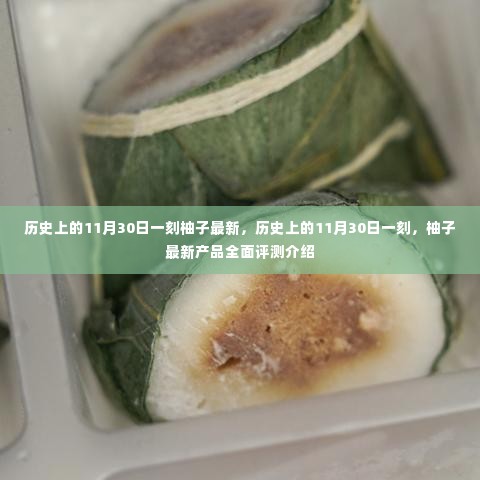 历史上的11月30日一刻,柚子最新产品全面评测与介绍