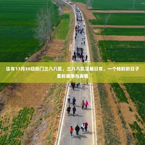 三八八区的温馨日常,特别日子的趣事与友情记录