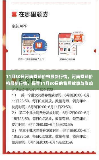河南番茄价格最新行情揭秘,探寻背后的故事与影响(11月30日)