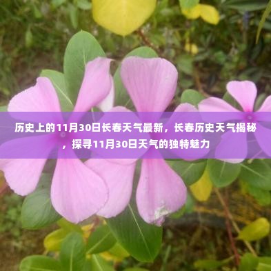 揭秘长春历史天气,探寻11月30日的独特魅力与天气变迁