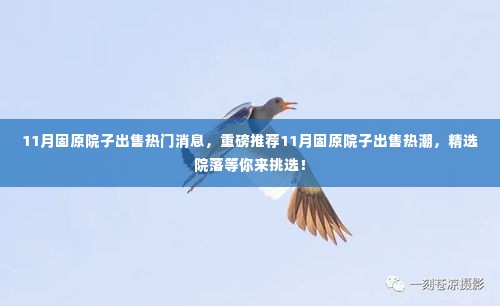 11月固原院子出售热潮,精选院落推荐,热门消息重磅来袭