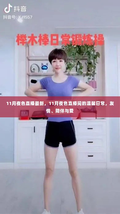 11月夜色直播间的温馨日常,友情、陪伴与爱的璀璨之夜