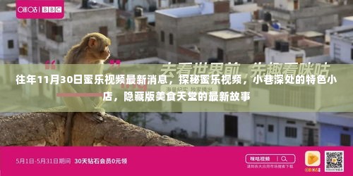 探秘蜜乐视频,小巷美食天堂的最新故事揭秘