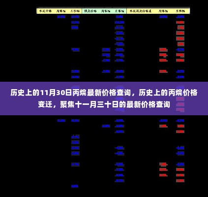 聚焦历史丙烷价格变迁,最新价格查询与十一月三十日市场动态分析
