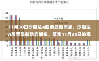 沙隆达A股票最新动态解析及观点碰撞，11月30日的最新消息与个人立场聚焦