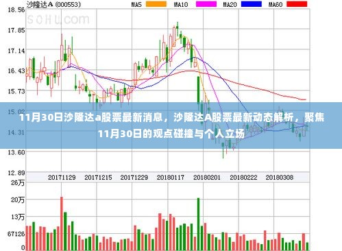 沙隆达A股票最新动态解析及观点碰撞,11月30日的最新消息与个人立场聚焦